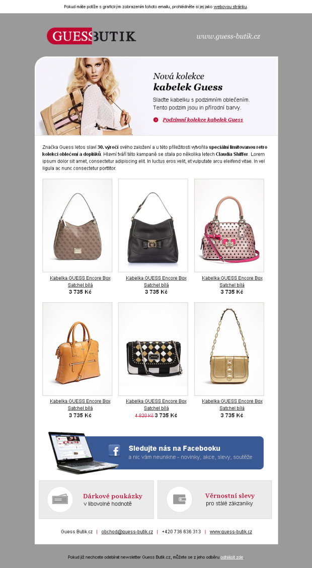 Newsletter Guess Butik